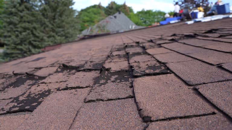 Best Roof Repair  in USA